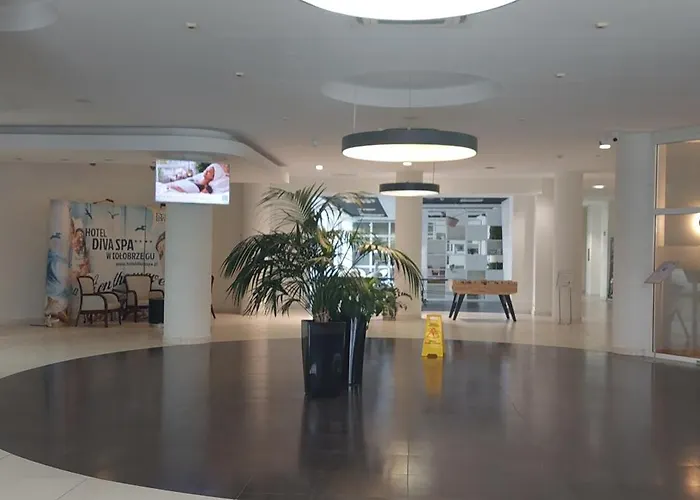 Apartament Diva Rosa - Panorama z aneksem kuchennym